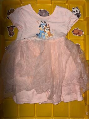 Pink Tulle Skirt Dress with Cartoon Bluey Motif